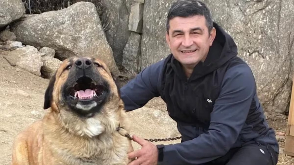 QRBUV2HXMBEORMOLZVBOUFMBJY (1)