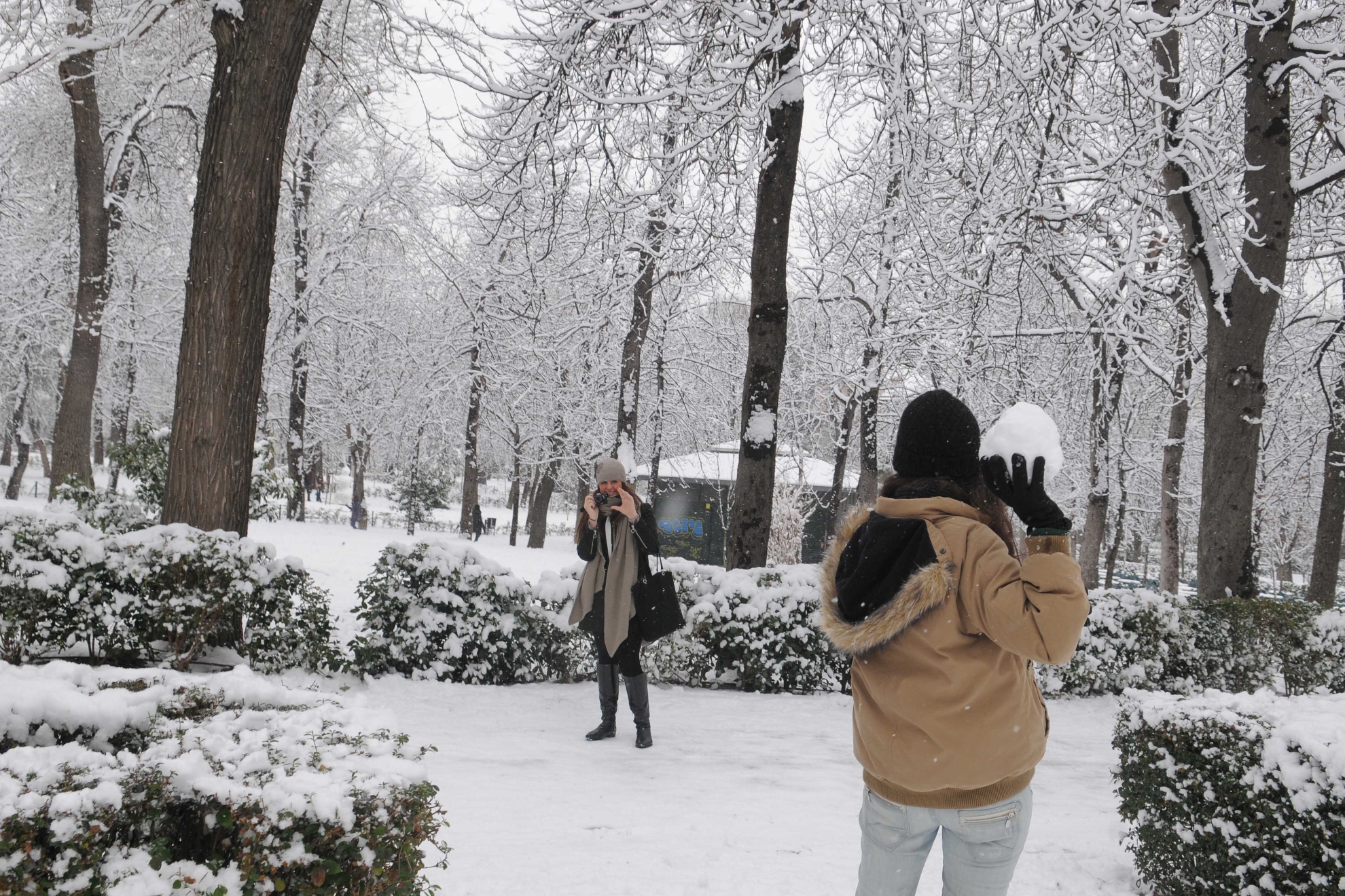 Ayuntamiento de Madrid