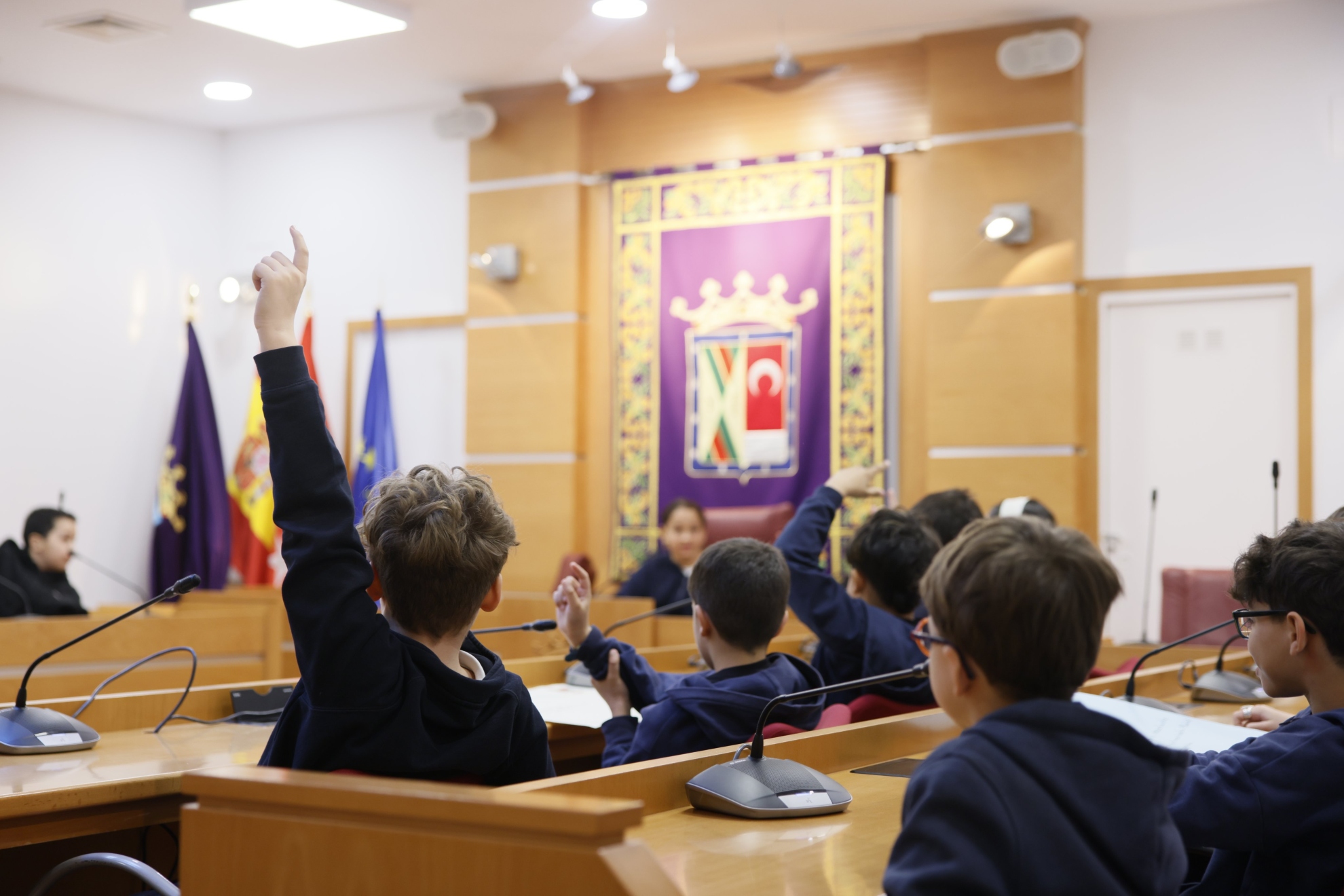 Ayuntamiento de Colmenar Viejo