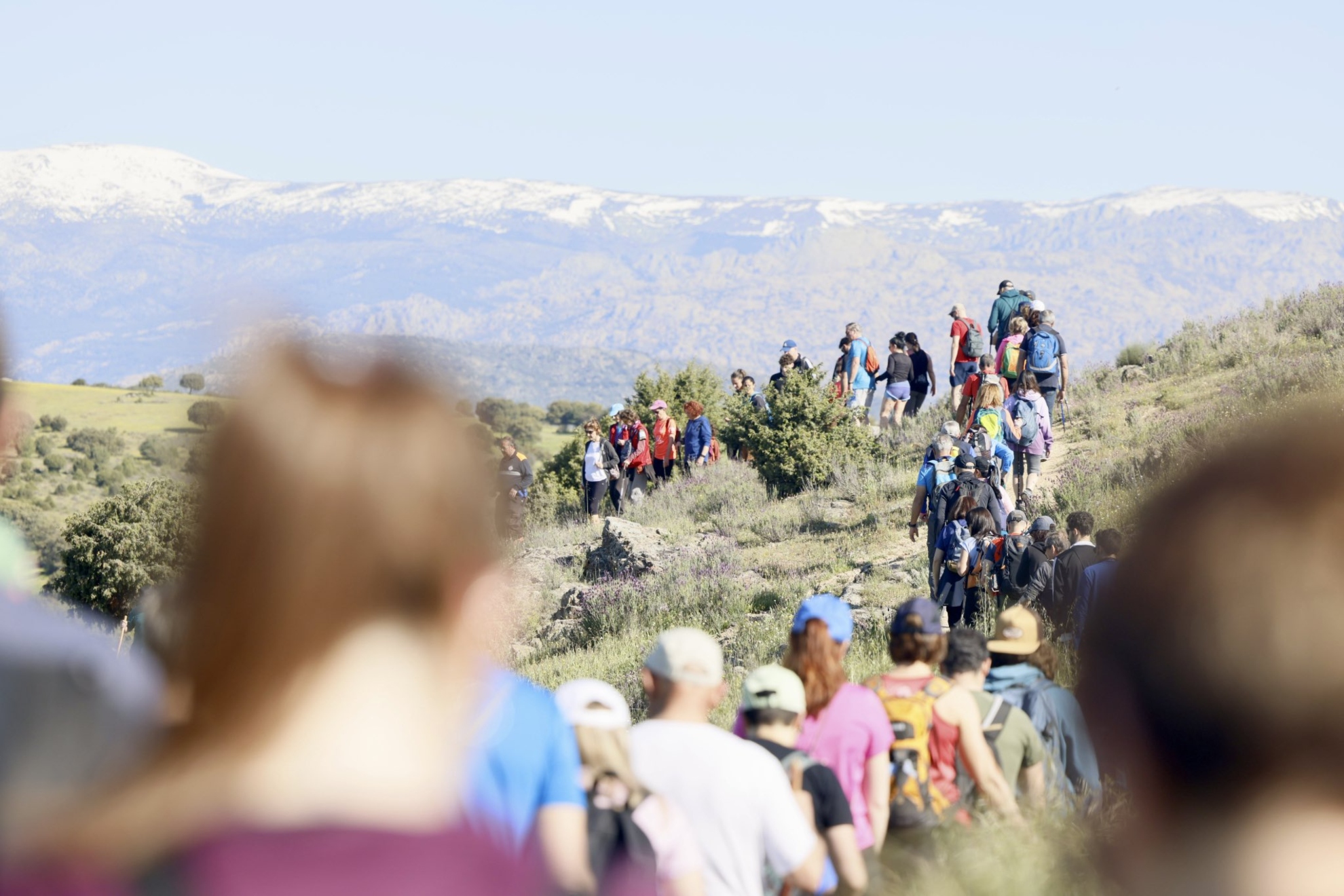 Ayuntamiento de Colmenar Viejo