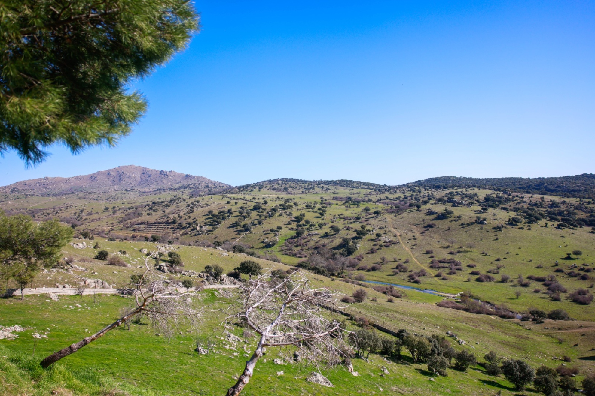 Imagen del Ayuntamiento de Colmenar Viejo