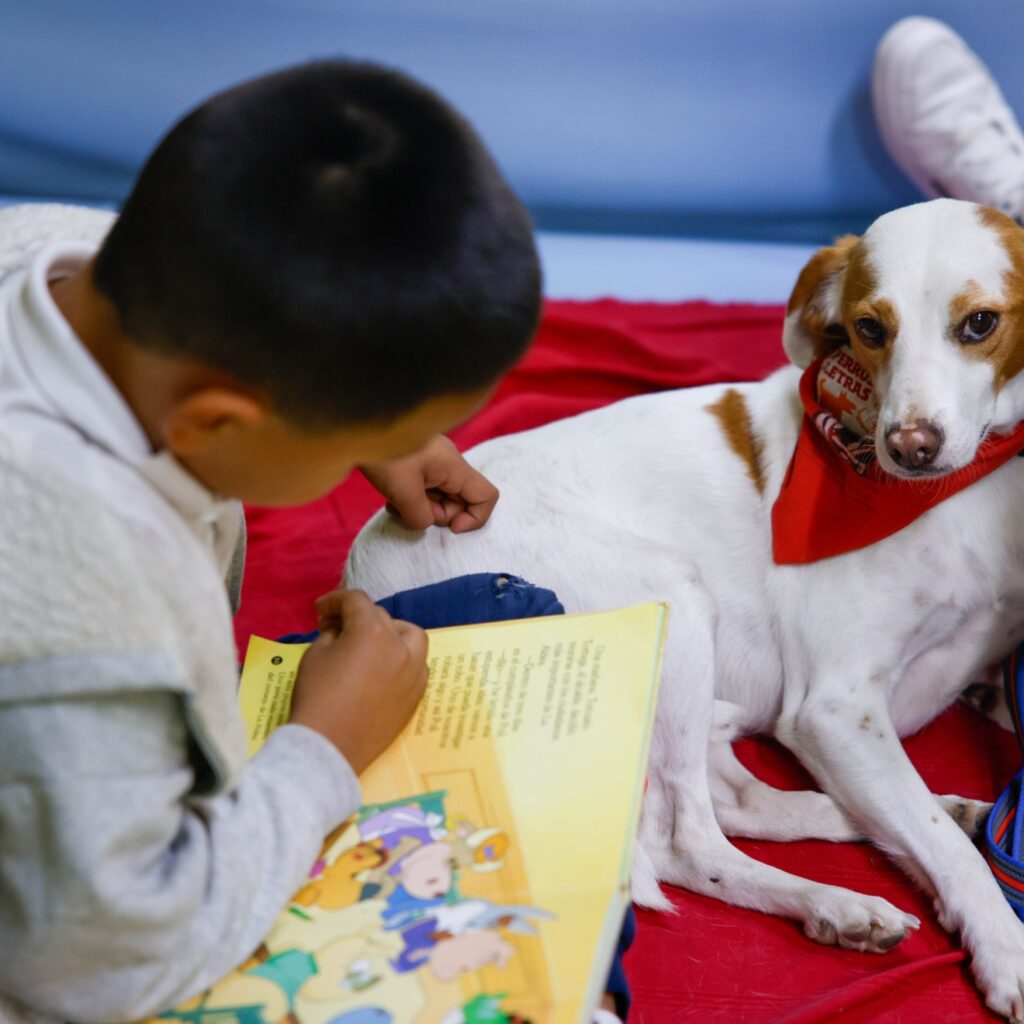 «Perros y Letras»: el programa educativo que crece en Colmenar Viejo y ya atiende a 100 alumnos