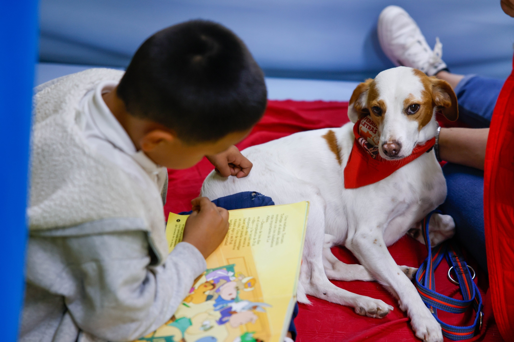 Imagen del Ayuntamiento de Colmenar Viejo