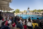 Colmenar Viejo estrena su temporada de descuentos en parques temáticos con precios especiales para Faunia