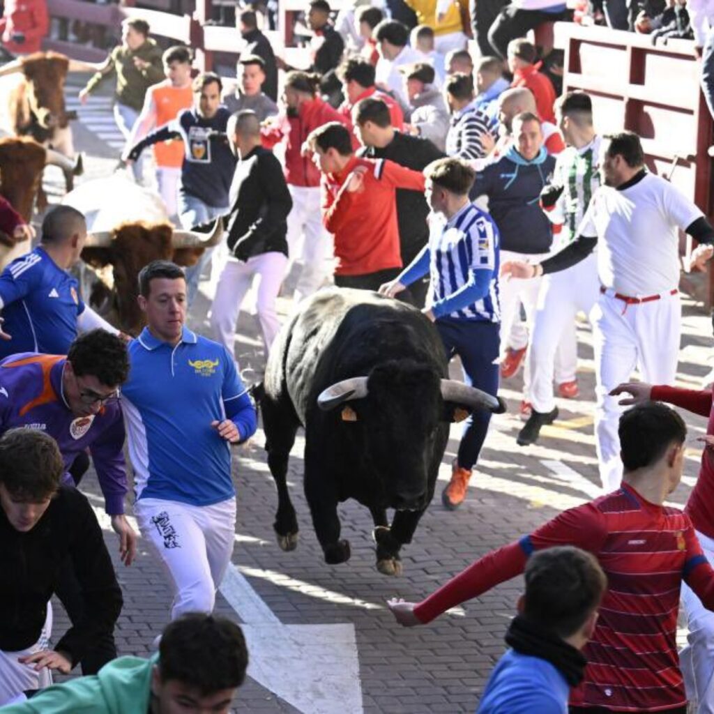 San Sebastián de los Reyes abre inscripciones para la Toro Run 2026