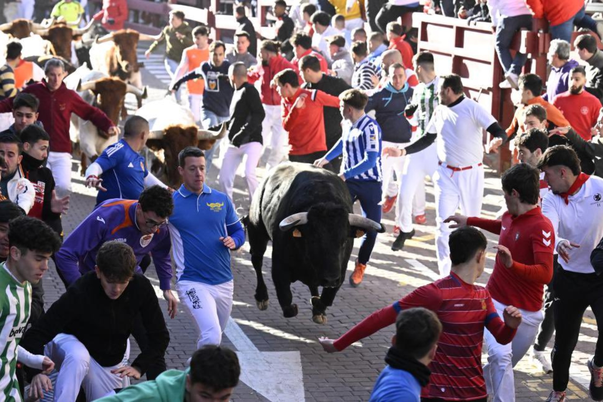 Toro Run San Sebastián de los Reyes