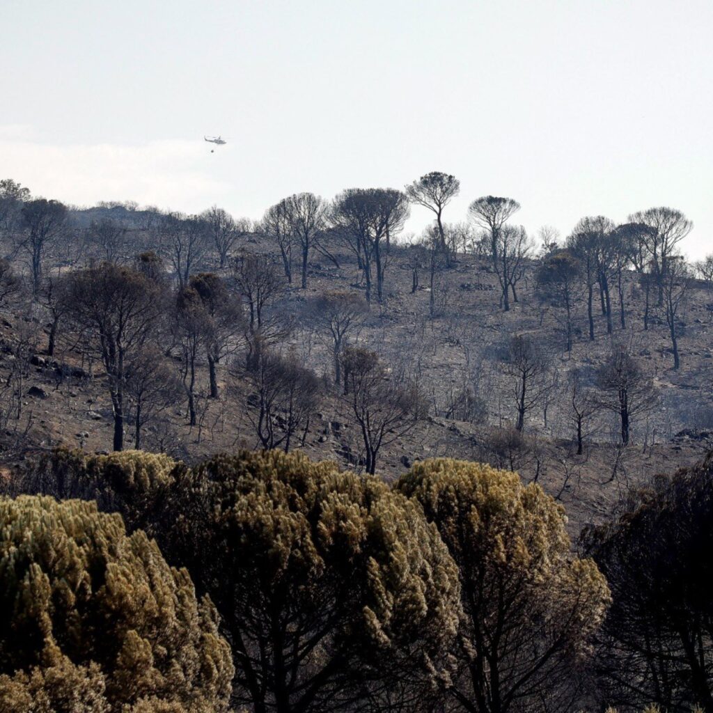 La Comunidad de Madrid lanza un portal para donaciones por los incendios