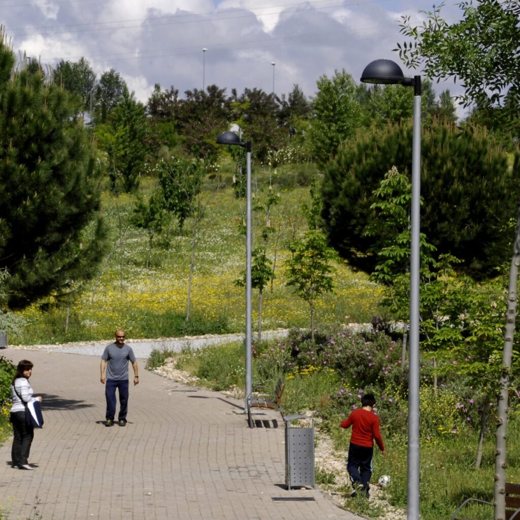 Aprobado un plan de 363.000 euros para plantar árboles hasta 2029 en San Sebastián de los Reyes