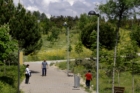 Aprobado un plan de 363.000 euros para plantar árboles hasta 2029 en San Sebastián de los Reyes